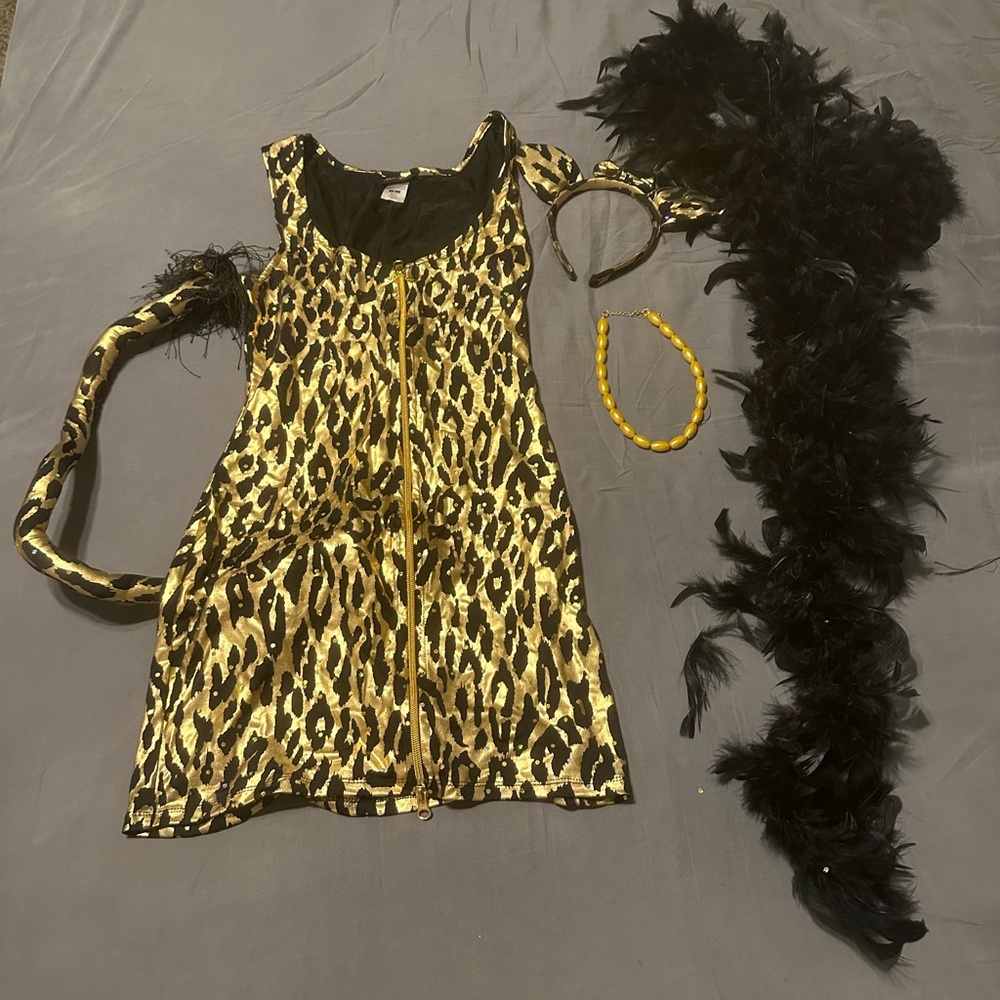 Dreamgirl Gold and Black Leopard Print Outfit